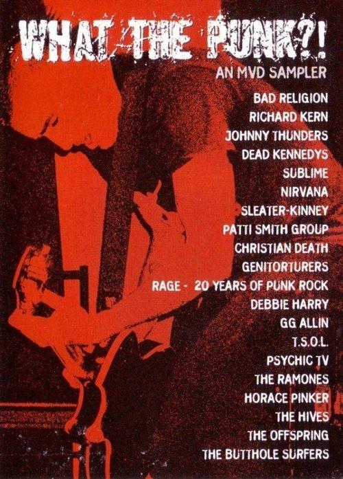 What the Punk - An MVD Sampler film afişi