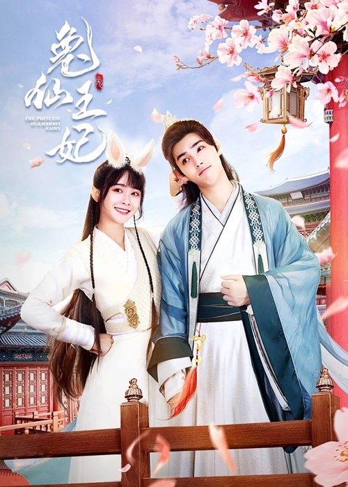 The Princess is a Rabbit Fairy dizi afişi