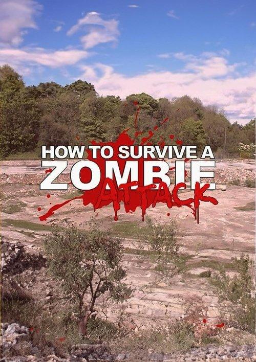 How to Survive a Zombie Attack film afişi