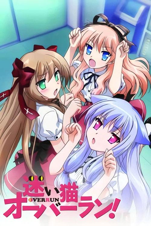 Stray Cats Overrun! Sezon 0