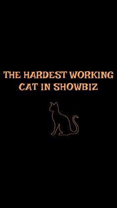The Hardest Working Cat in Showbiz film afişi