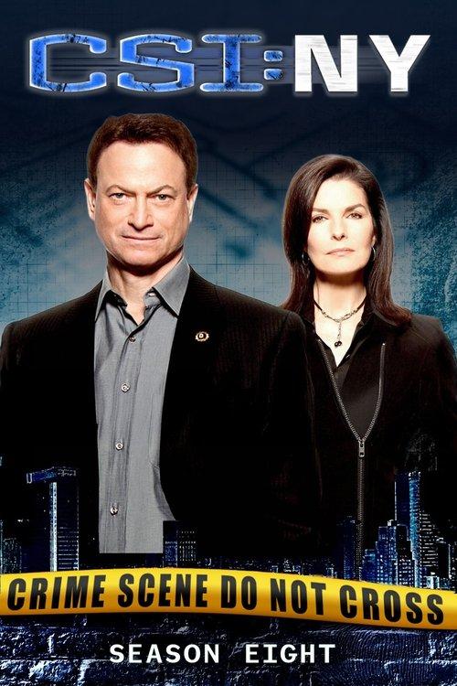 CSI: NY Sezon 8