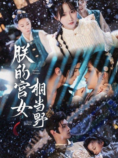 朕的宫女相当野 dizi afişi