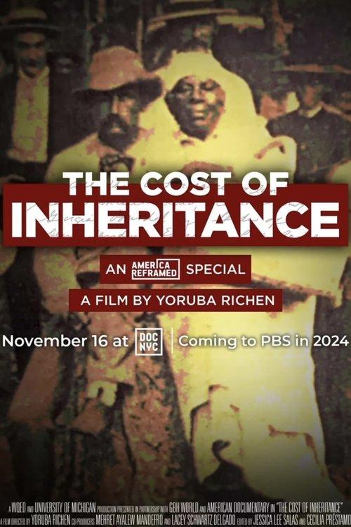 The Cost of Inheritance film afişi