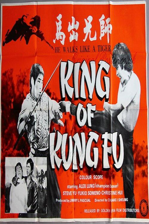 King of Kung Fu film afişi