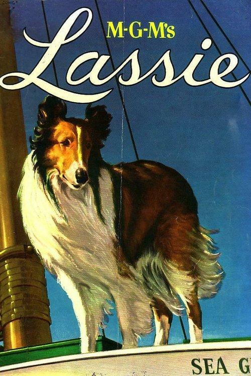 MGM's Lassie Collection koleksiyon afişi