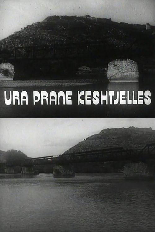 The Bridge Under the Castle film afişi