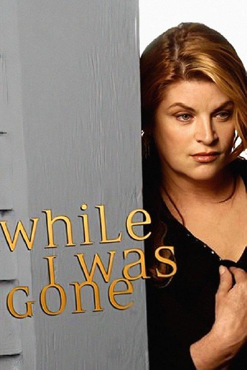 While I Was Gone film afişi