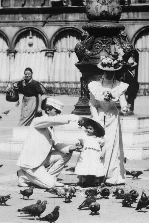 Venice, Feeding the Pigeons in St. Mark's Square film afişi
