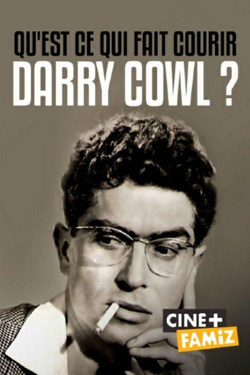 Qu'est-ce qui fait courir Darry Cowl ? film afişi