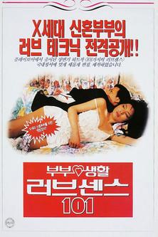 부부생활 러브센스 101 film afişi