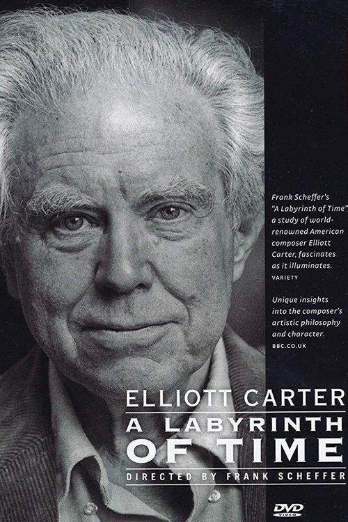 A Labyrinth of Time film afişi