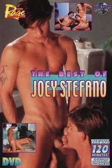 The Best of Joey Stefano film afişi