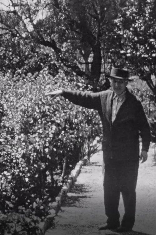 Chagall dans son jardin a Saint-Paul-de-Vence film afişi