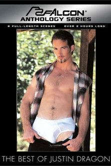 The Best of Justin Dragon film afişi