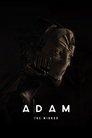 Adam: The Mirror