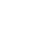 ICS Nordic