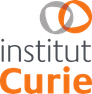 Institut Curie
