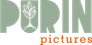 Purin Pictures