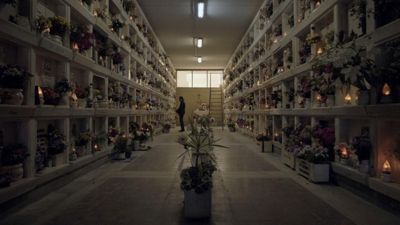 Mi chiamano Cipolla backdrop