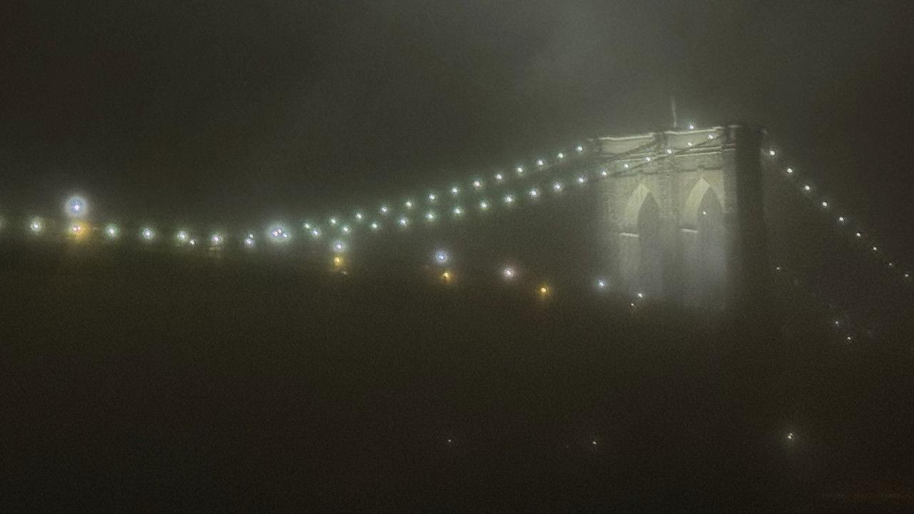 Wildest Dreams backdrop