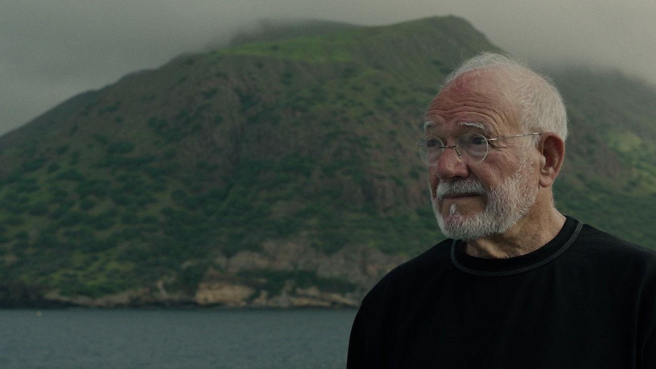 Chão Verde de Pássaros Escritos backdrop