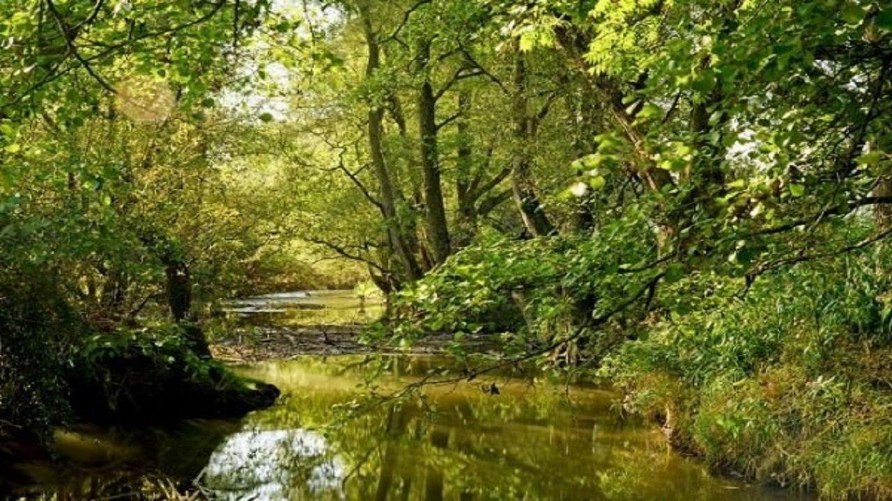 One in a Thousand backdrop