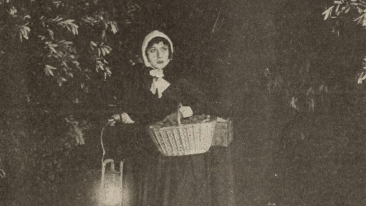 The Seekers backdrop