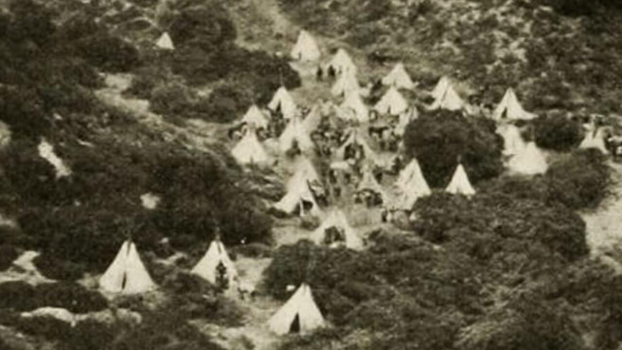 In the Days of the Thundering Herd backdrop