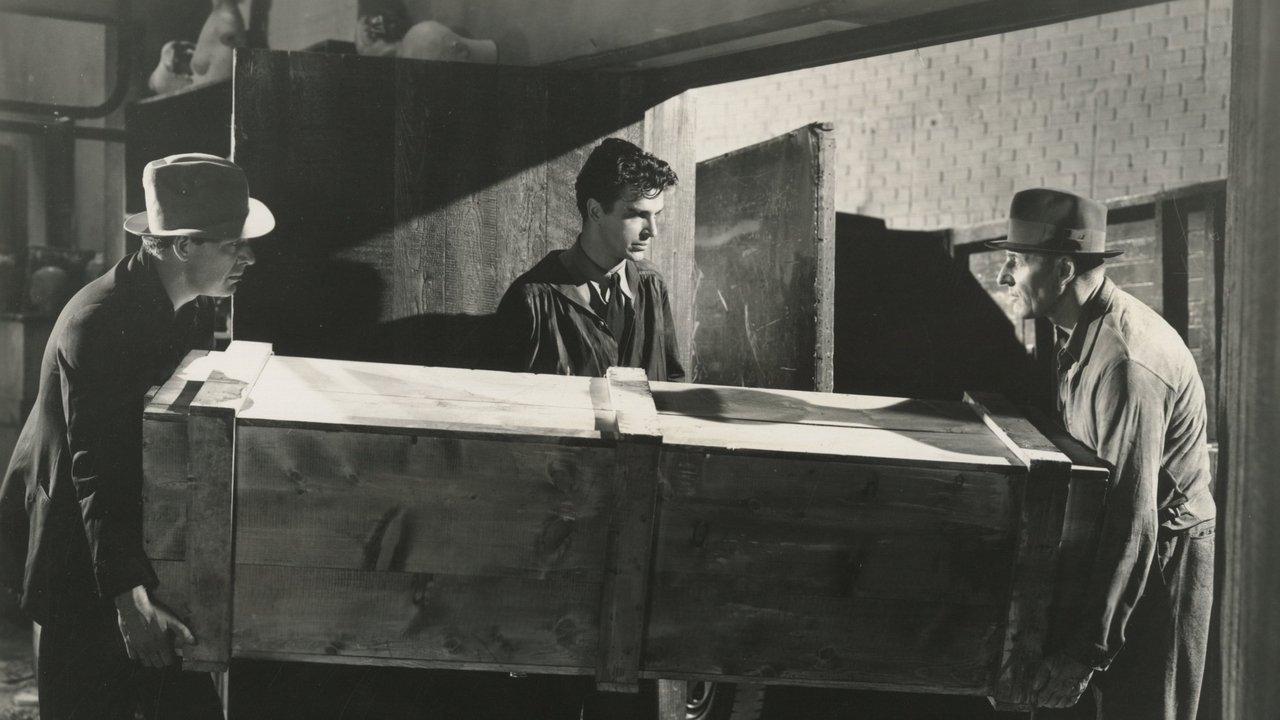 Killer at Large backdrop