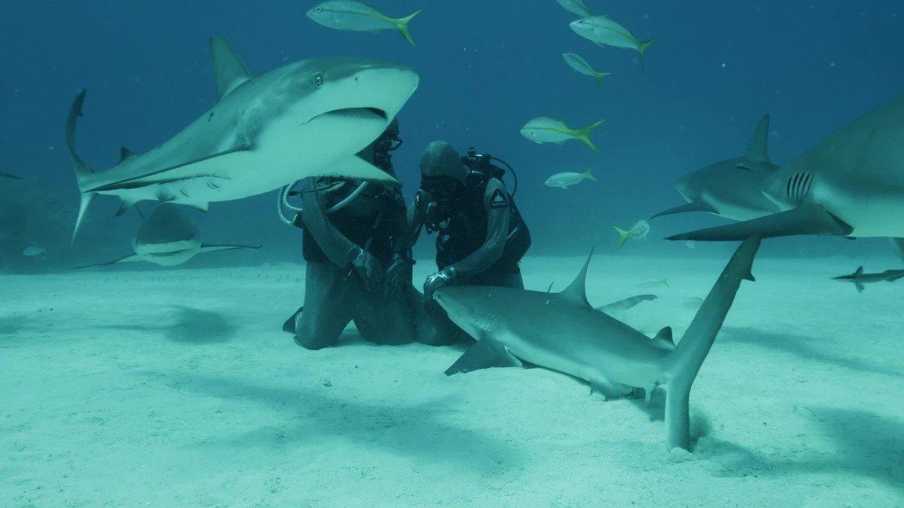 Bleu, un océan de solutions backdrop