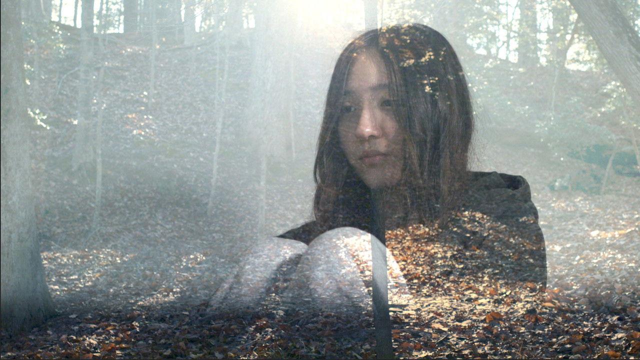 Statement 15 backdrop