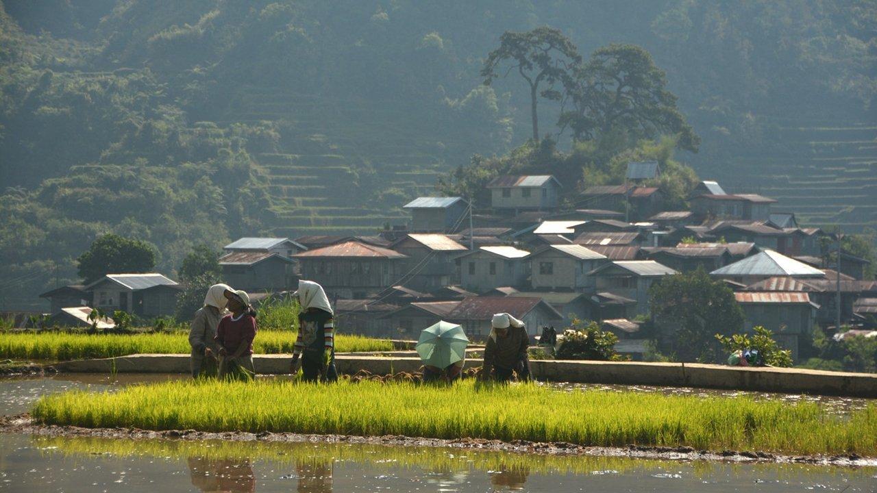 Bontok, Rapeless backdrop