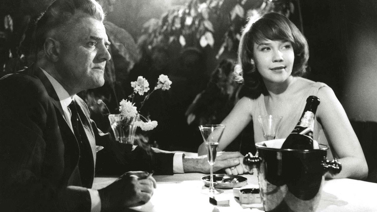 The Scarlet Dove backdrop