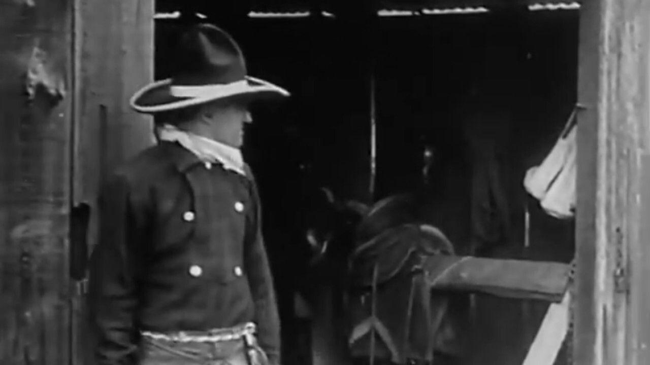 Legal Advice backdrop