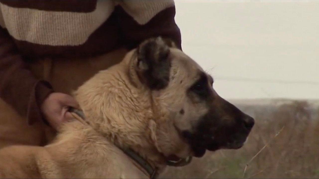 Fathers and Sons backdrop