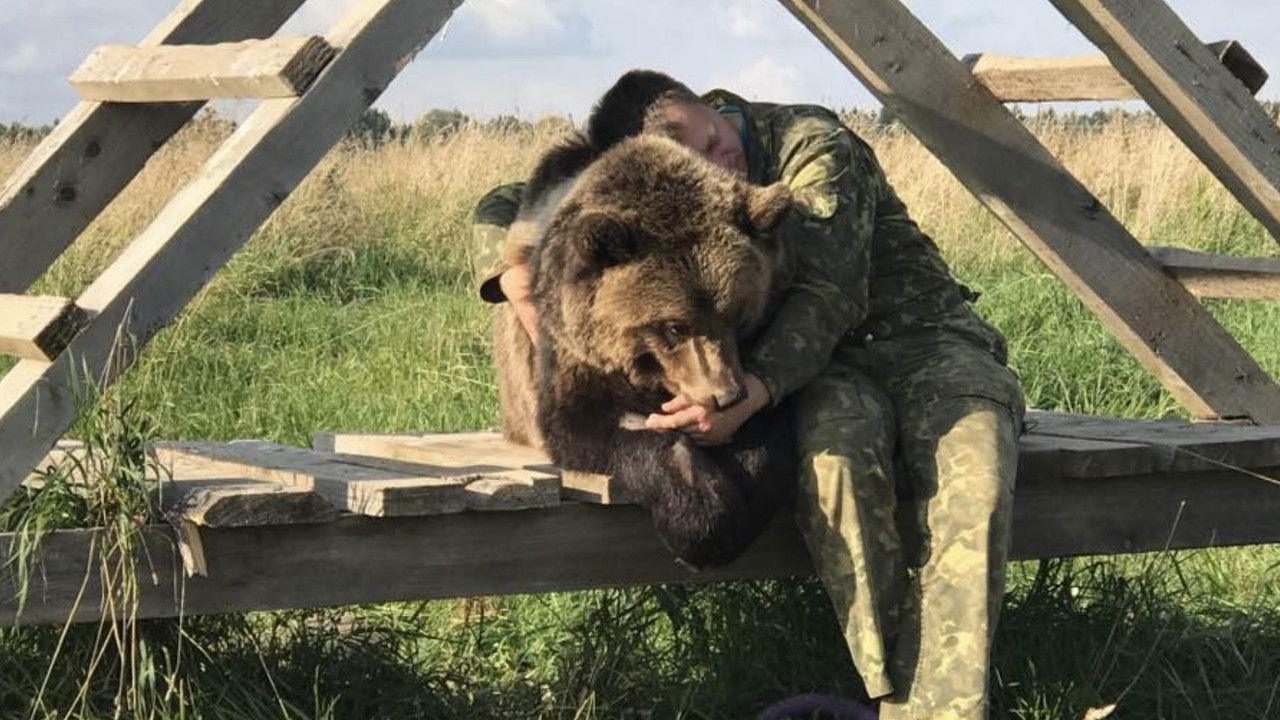 Land of Bears backdrop