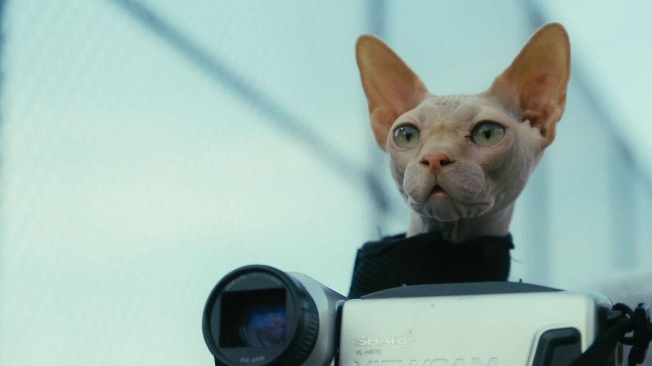 Don't Come Home Before Midnight backdrop