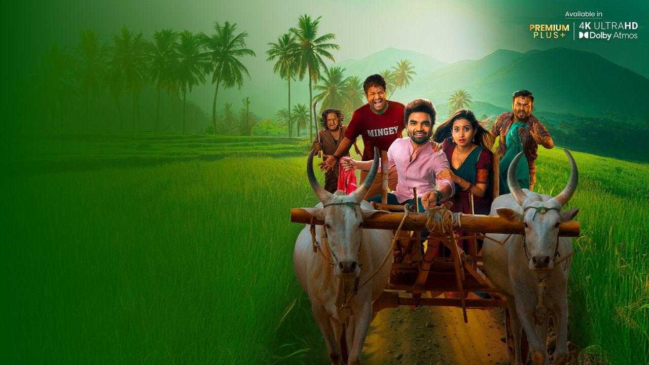 Akkada Ammai Ikkada Abbai backdrop