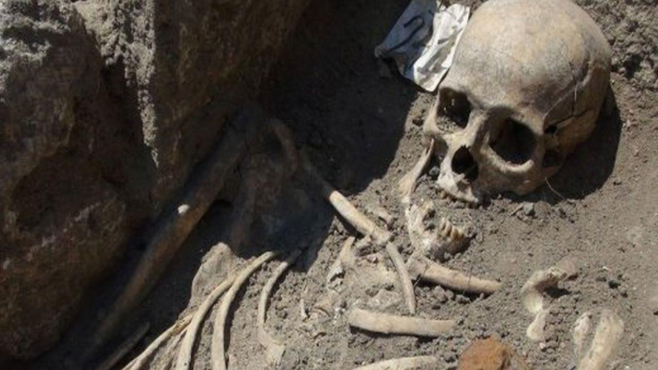 Die Vampirleiche von Venedig backdrop