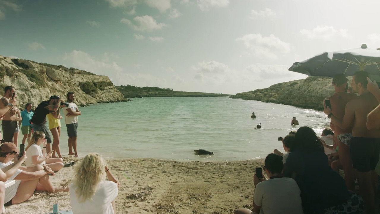 The Last Island backdrop