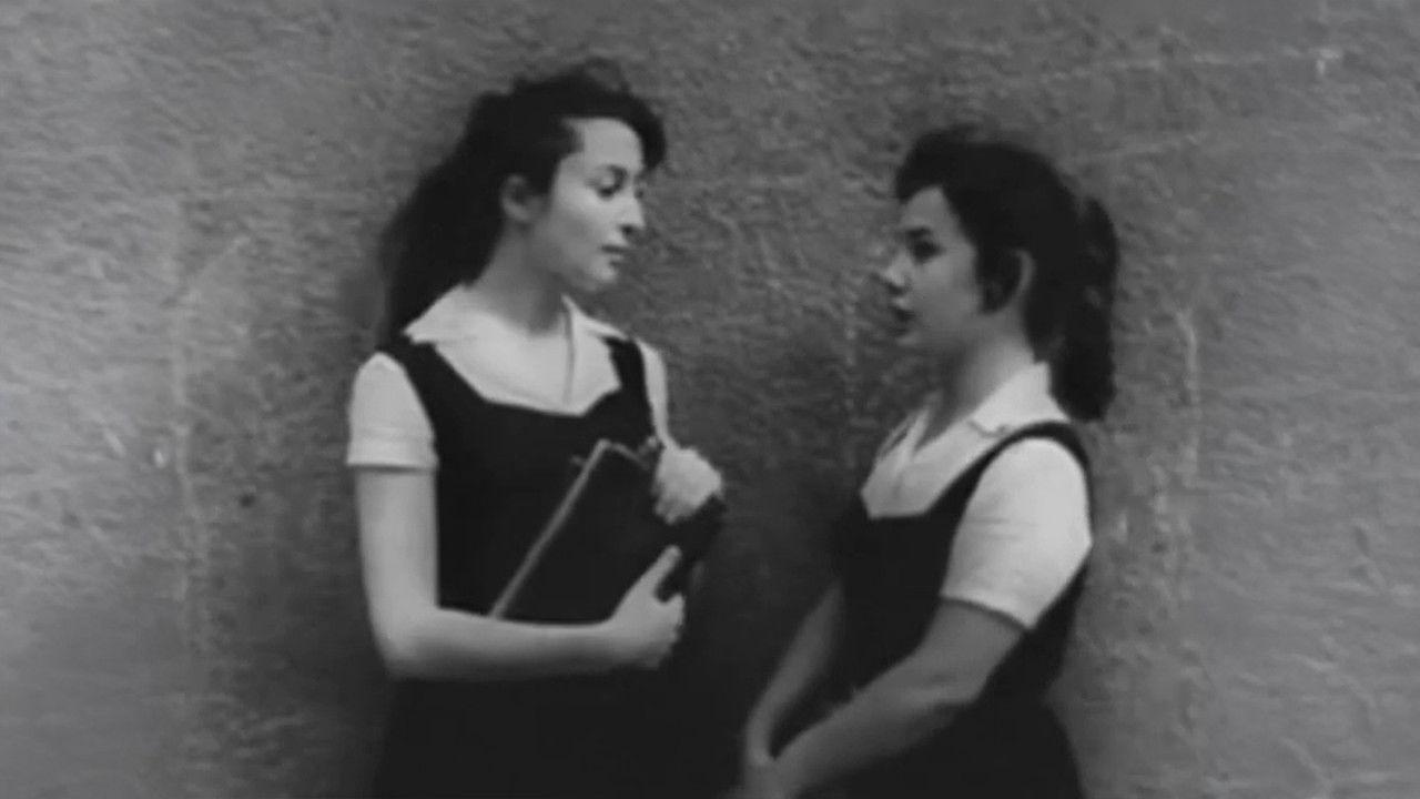 Üç Kızın Hikayesi backdrop