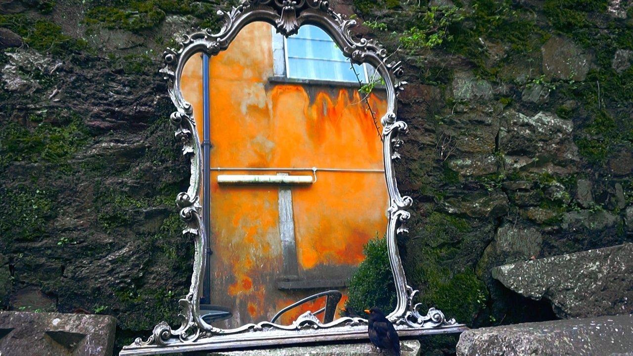 Introspection backdrop