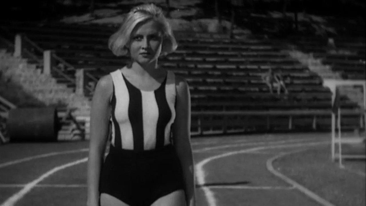 Accidental Meeting backdrop