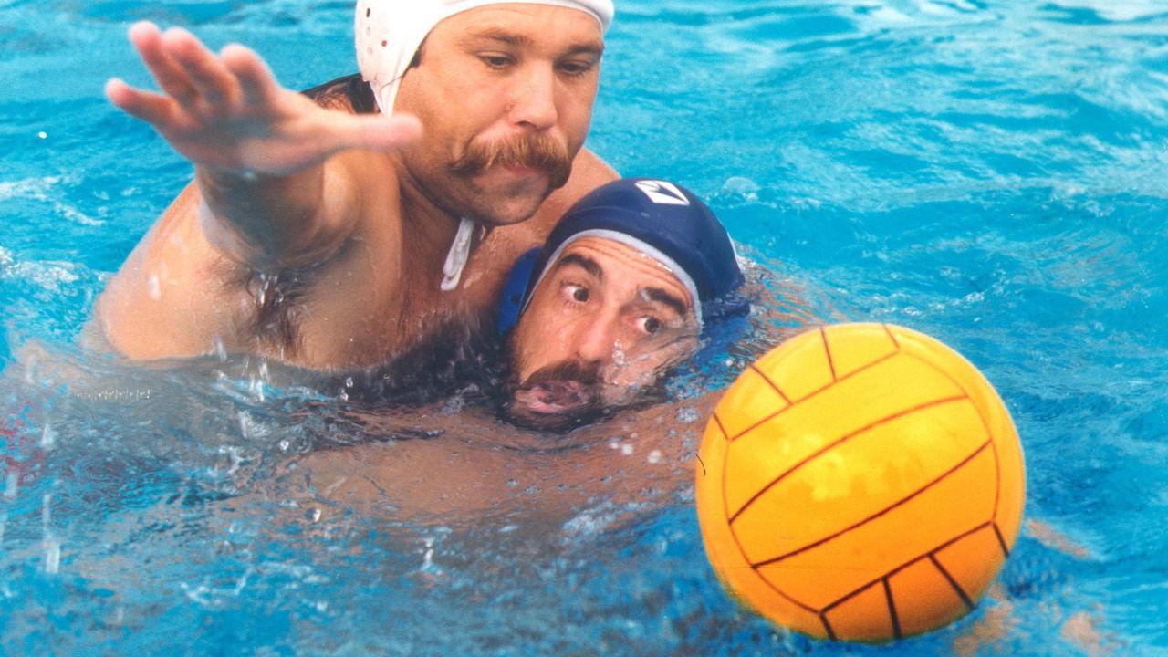 Red Wood Pigeon backdrop