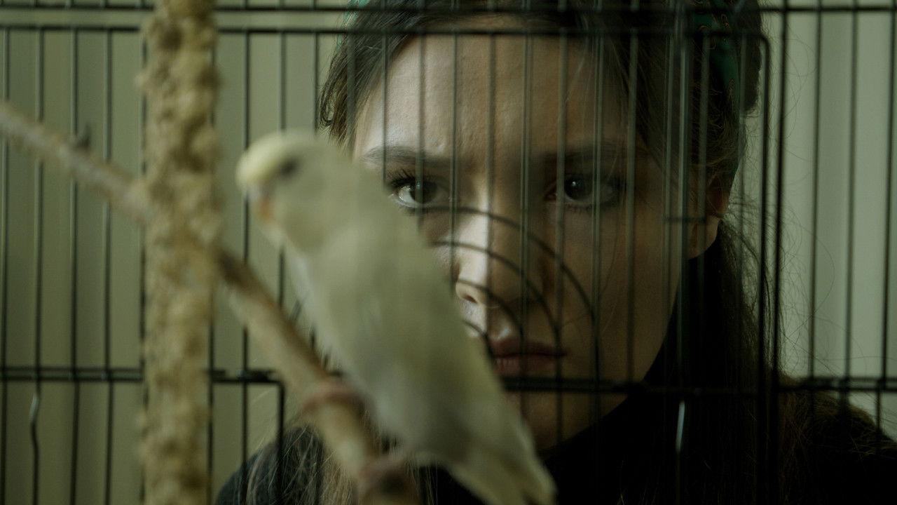 Winged and Imprint Dark backdrop