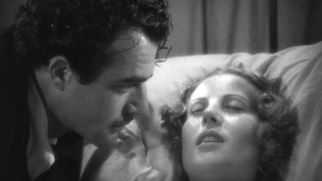 The Bohemian Life backdrop