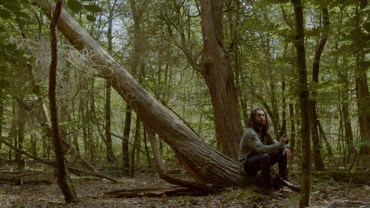 The Road Less Traveled By backdrop