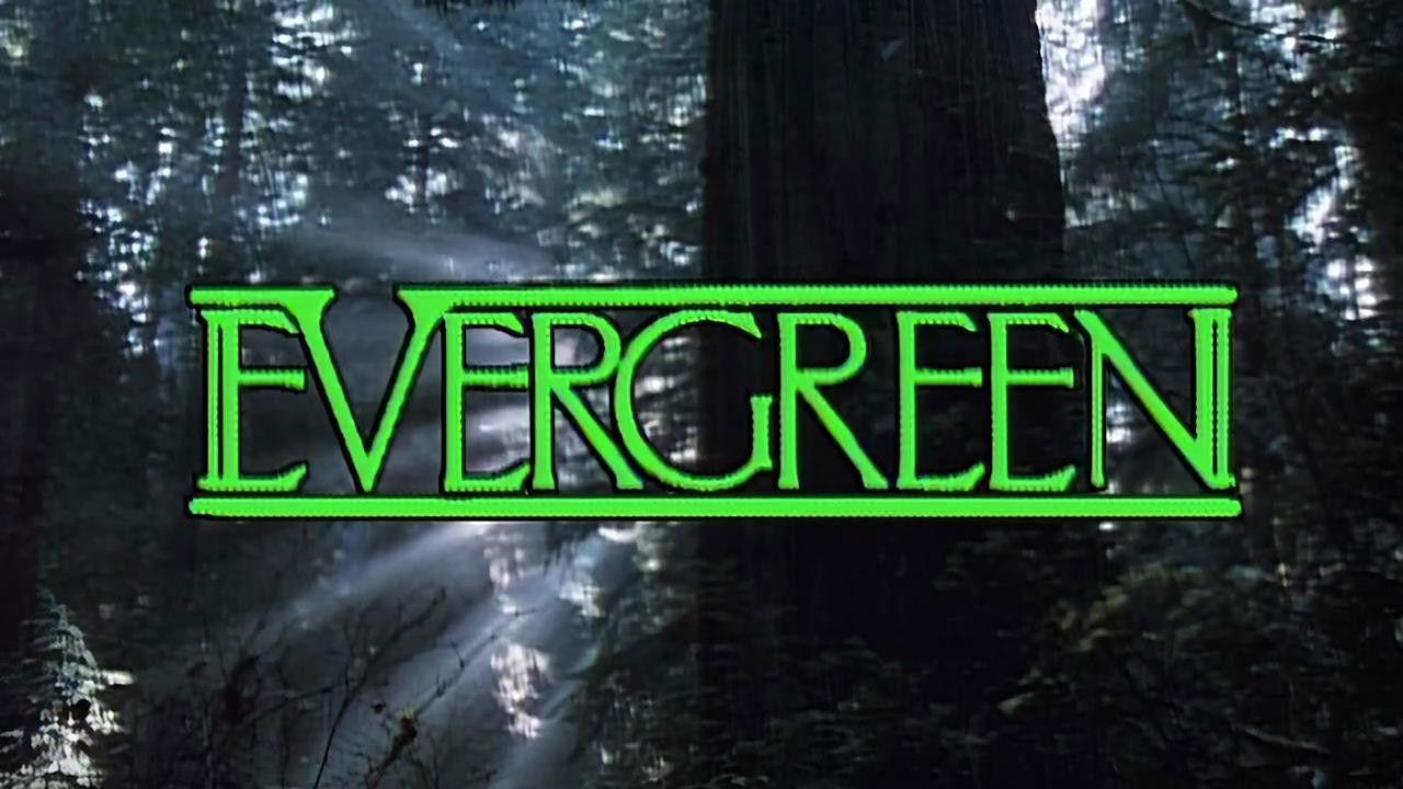 Evergreen