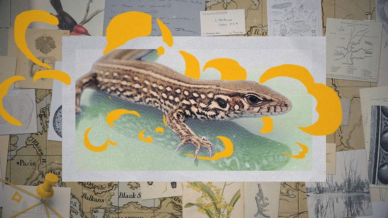 Darwin express - Les nouveaux défis de l'évolution backdrop